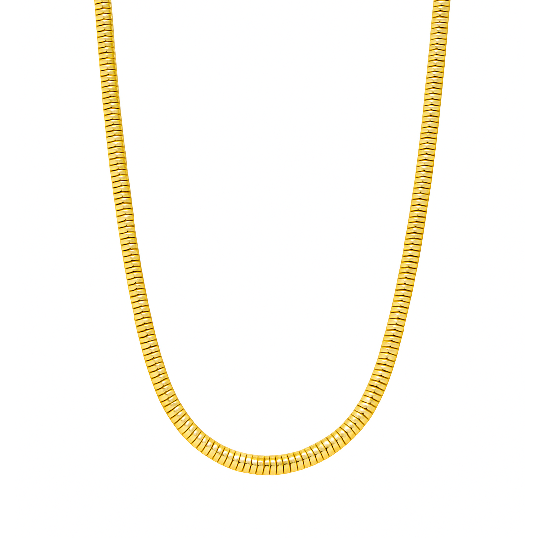 BASELINE. Gold Round Snake Chain Necklace