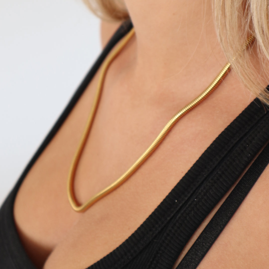 BASELINE. Gold Round Snake Chain Necklace